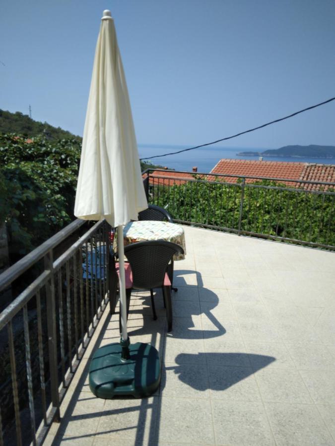סבטי סטפן Apartments Mitrovic Podlicak מראה חיצוני תמונה