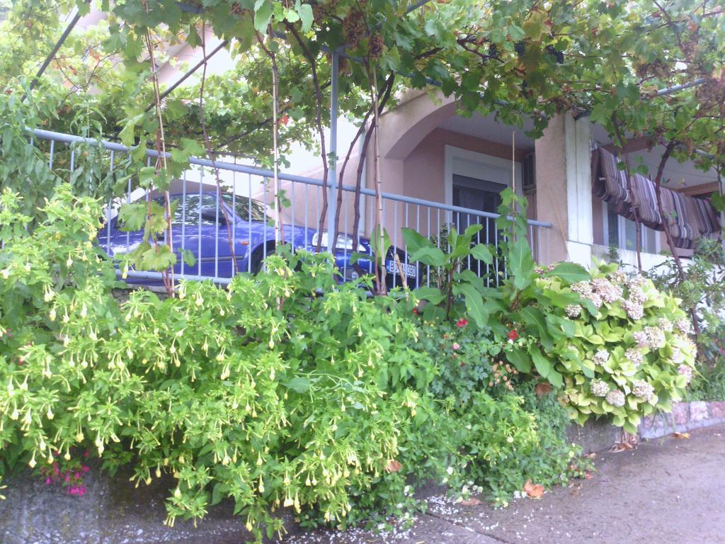 סבטי סטפן Apartments Mitrovic Podlicak מראה חיצוני תמונה
